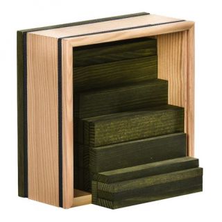 KAPLA 40 SQUARES - 40 COLOURED PLANKS IN A WOODEN CASE - GREEN