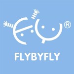 Flybyfly